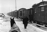 IMG-1159