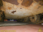 DSCN6537
