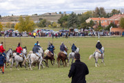 IMG-0093