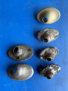 E1-EC8044-CFE0-40-C7-AF35-8-CE65-D6-F5-A35.jpg