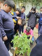 0eaad907-1dd2-4a3c-b31c-e2d92596fa7b