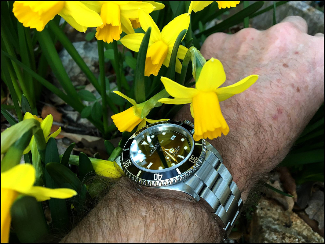 HOMMAGE à ZEN : ici notre plus beau bouquet de ROLEX ! - Page 3 IMG-3834