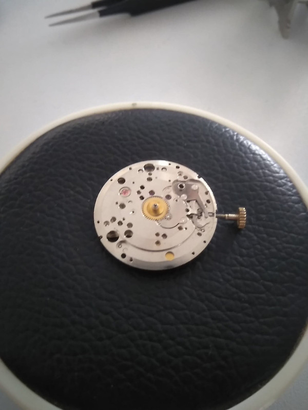 69150591_460055661503739_5683122716299755520_n