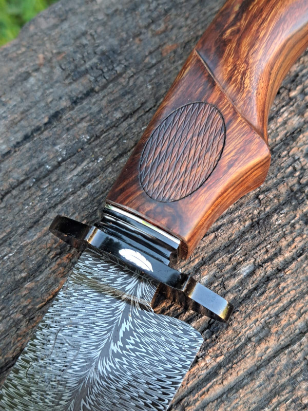 WhatsApp Image 2024-11-05 at 20.20.30 (1)