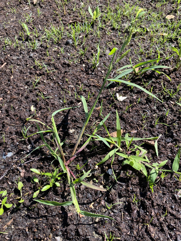 85C092A5-EF29-4571-8644-52269497AF2D