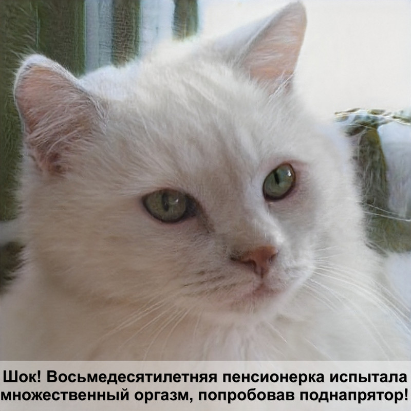 окраски кошек табби