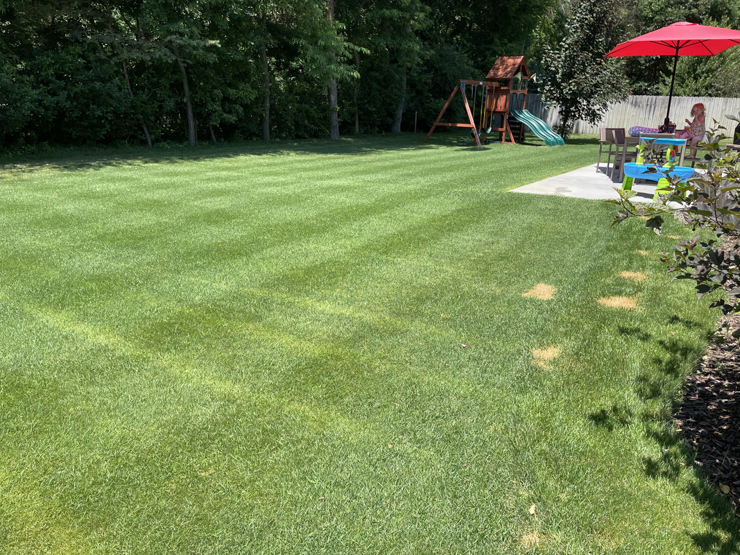 A92558D6-F36C-4D1A-9148-03516D3F7384