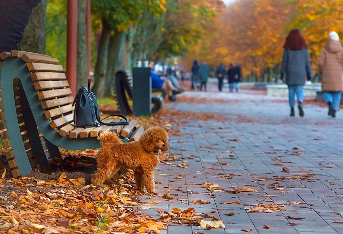 IMG_20231122_142149_198