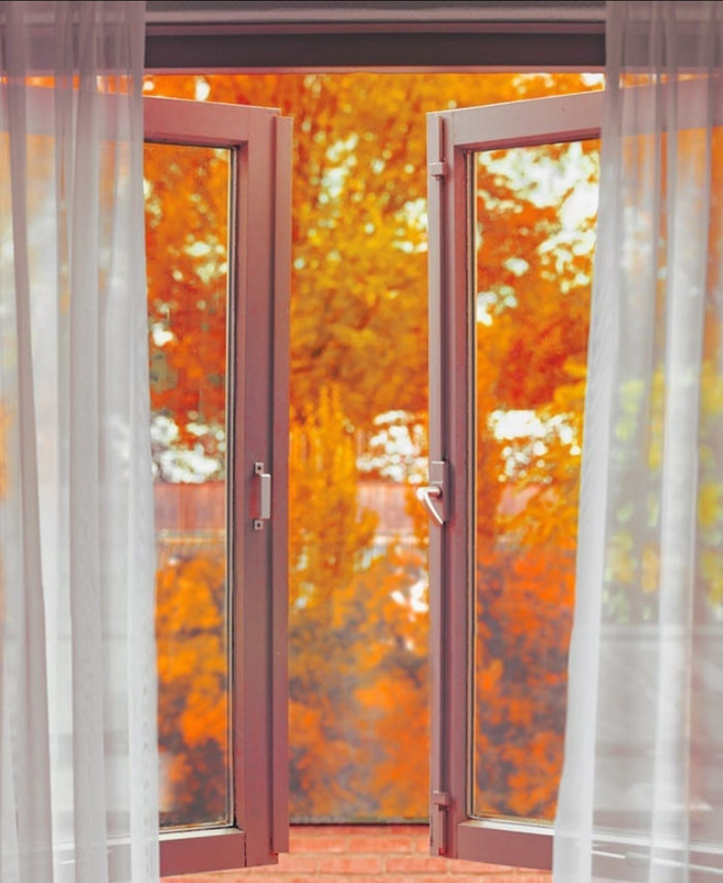 Screenshot_20231207_154004_Instagram