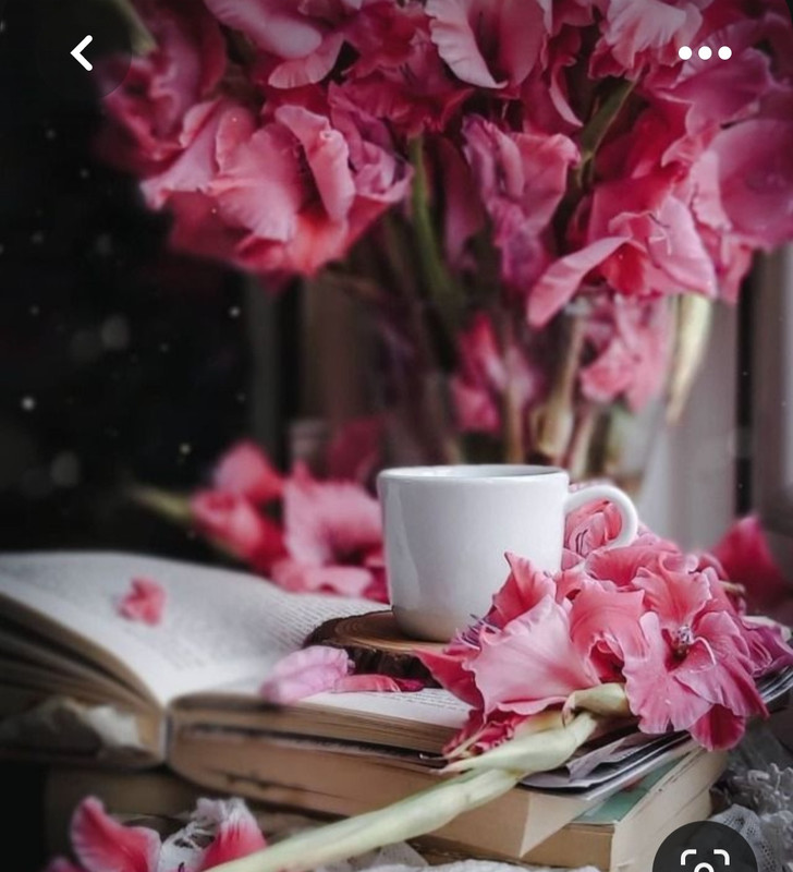 Screenshot_20230622_010044_Pinterest