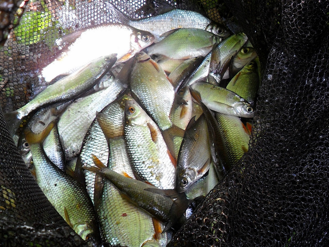 Кочебахтино 13-14.06.13 г 04