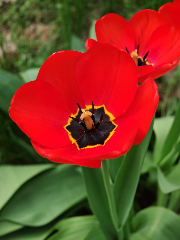 IMG_20240406_132330