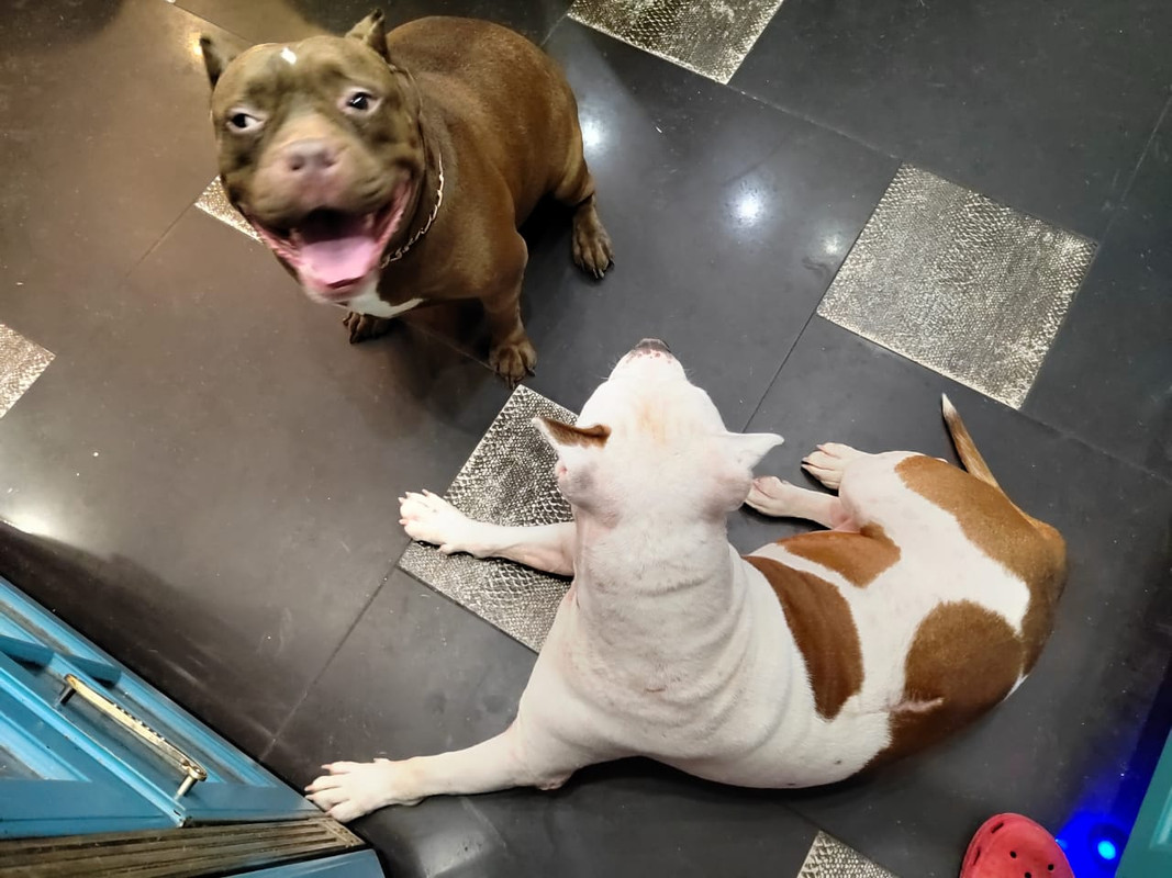 47285B25-97BE-4D3F-9153-0178C75F1FAC