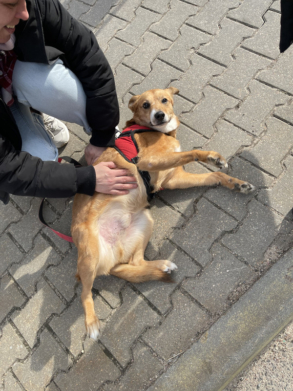 27383D10-7853-4E63-B8E3-E45BD79D30A9