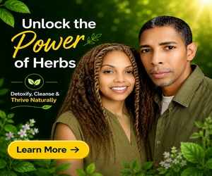 300x250 Banner Ad