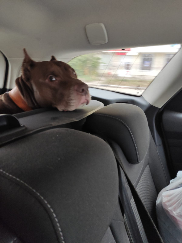 F5F7F6B6-BE94-48E7-9EEA-9A5C55569758