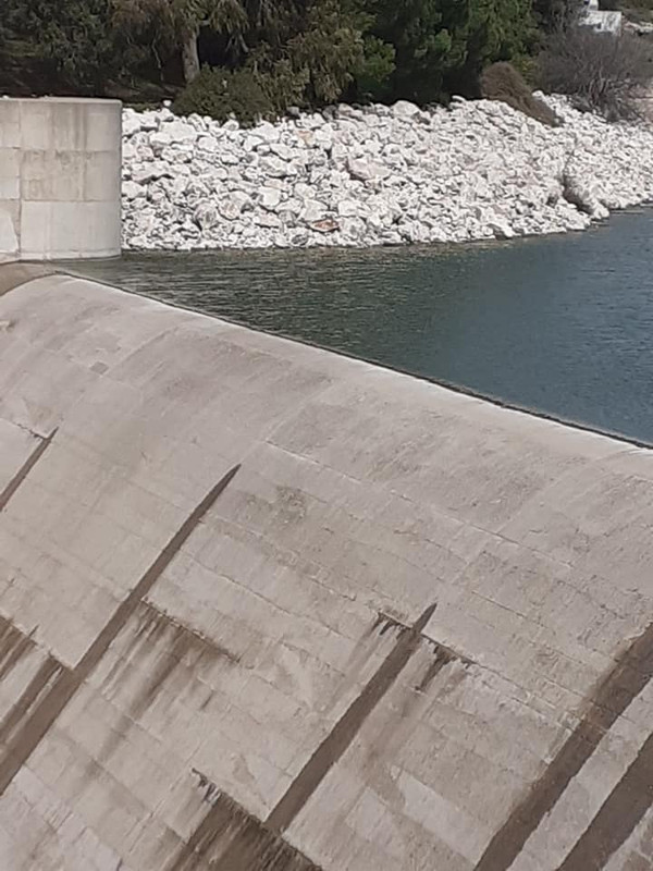 ασπρόκρεμμος1