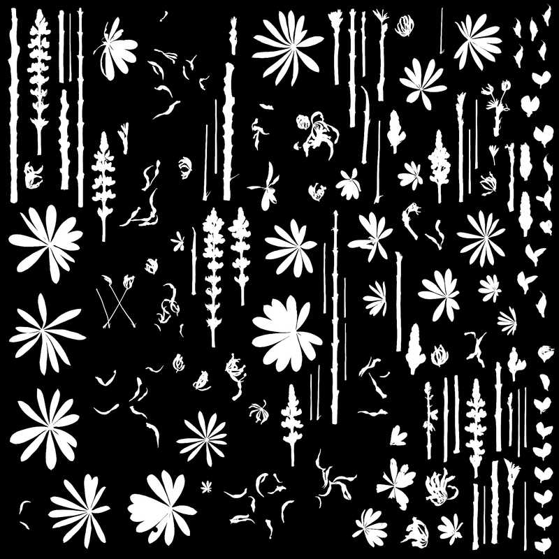 tjlnfikia_2K_Opacity