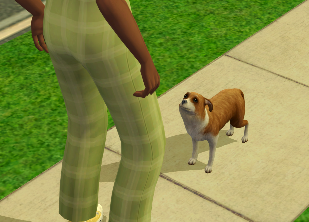 Sims2-EP9-RPC-2023-02-17-21-40-24-15