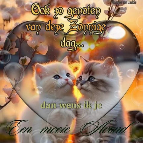 abd5bfb2c953c1906eff32c762234006