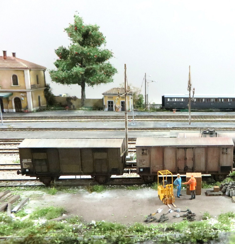 Alberi Boscoscuro giugno 2023 (10)