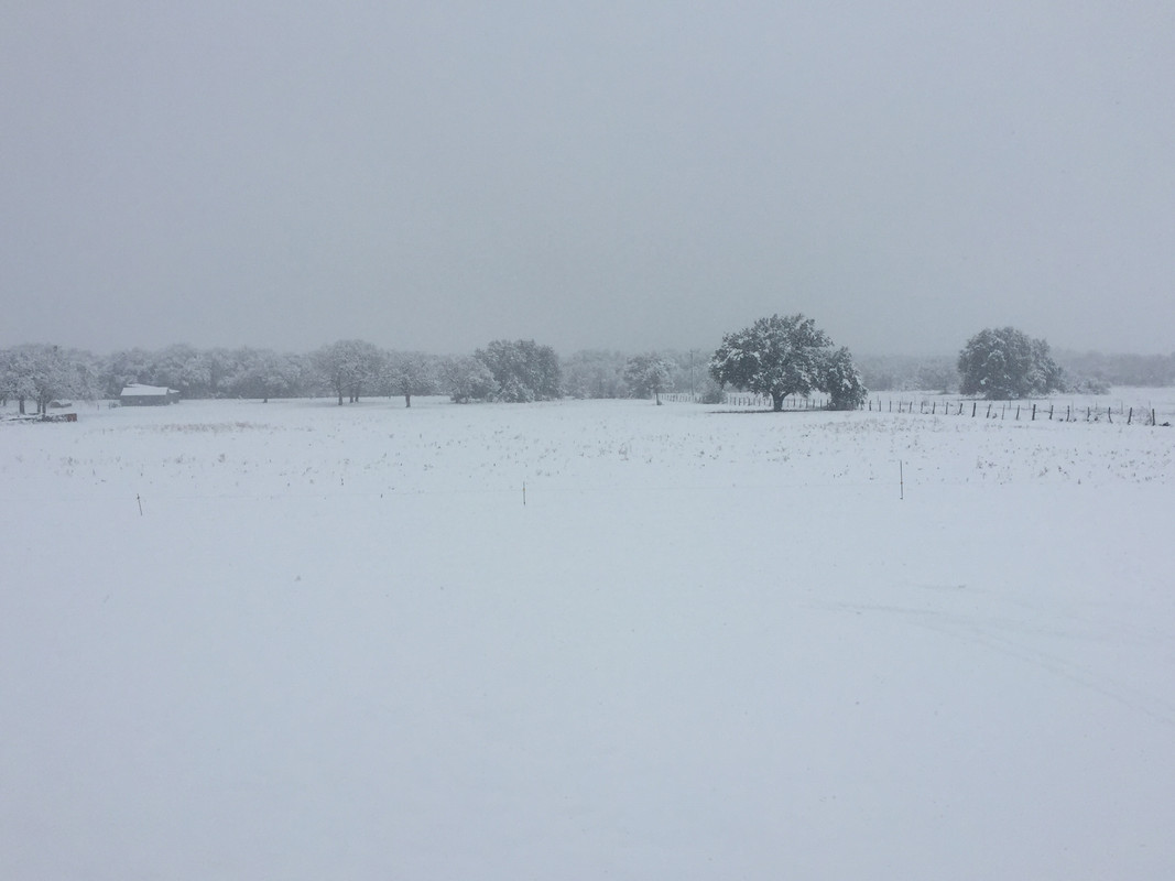 E53D8FEA-9E23-48AB-B62D-EA4CDA2447DB