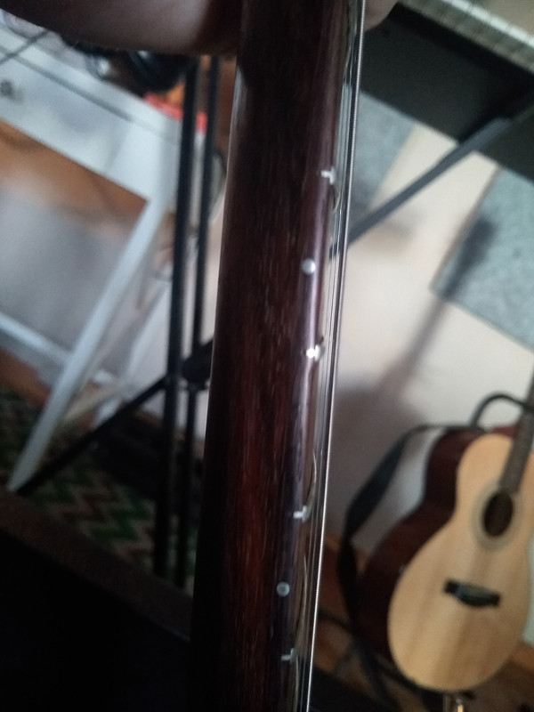 IMG-20191229-160542701.jpg