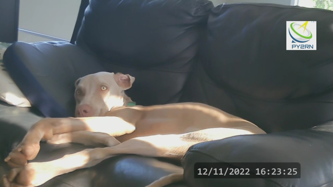 1_0_1_1_1_0_1042BEF_0_0_0_20221112202339