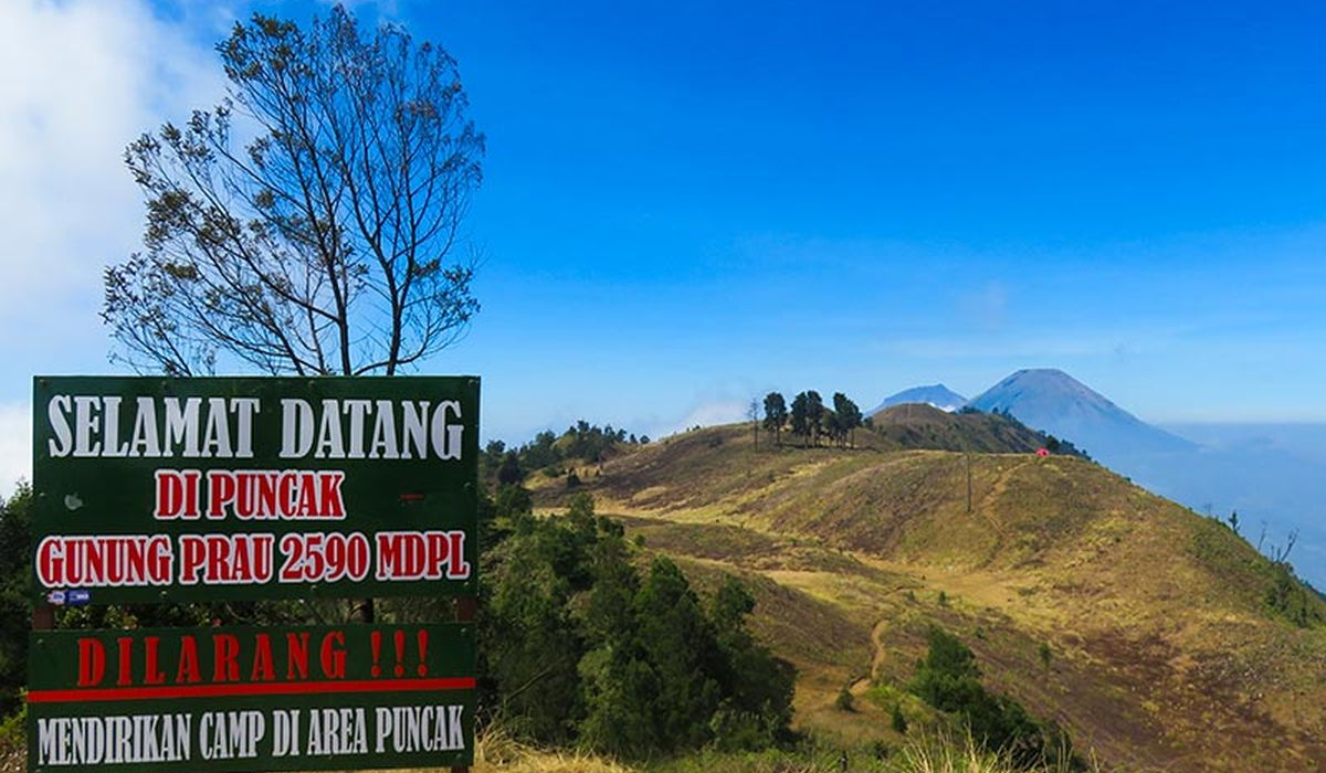 Jelajah Gunung Prau Dieng Spot Favorit Pendaki Untuk Melihat Golden Sunrise