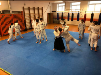 Aikido techniky začátečníci