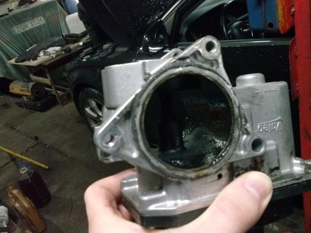 CAM03988.jpg