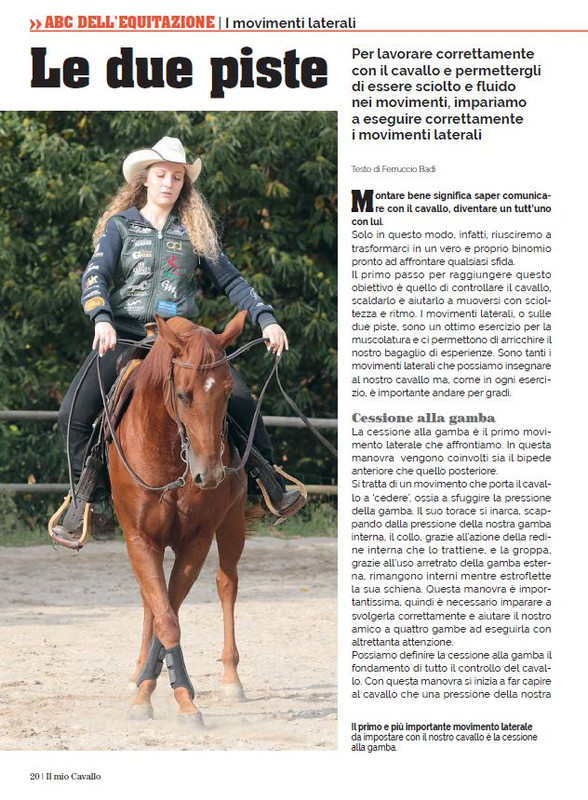 Il Mio Cav (Dic 2022-Gen 2023) 9