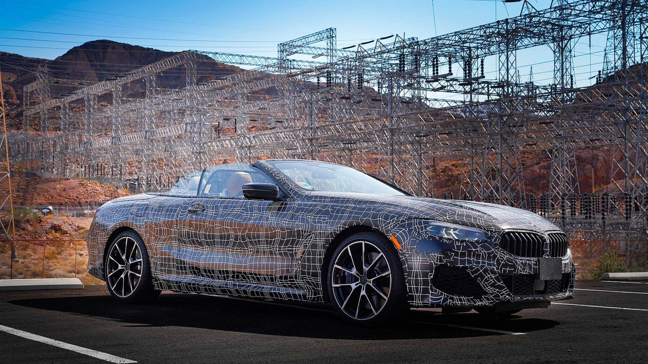 2019 BMW 8 Series Convertible (4)