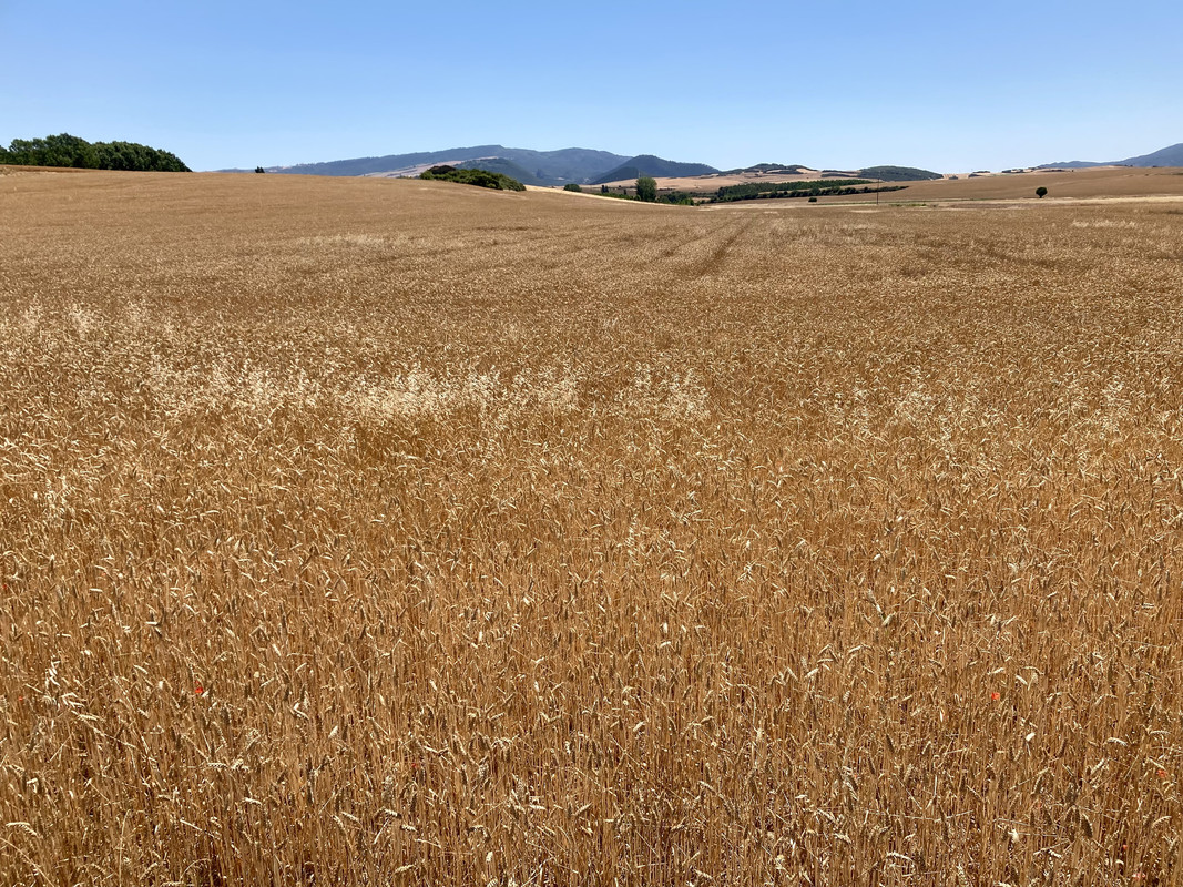 3F427AC4-A474-4323-A1A9-2E9443D89E90