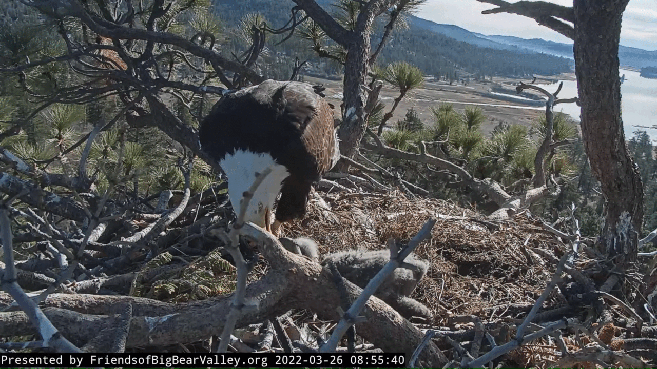 Webp.net-gifmaker (2)