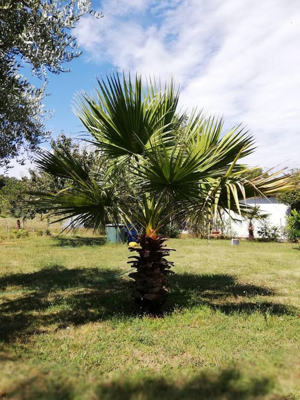 37775439_10215456836067833_8923499043745693696_n