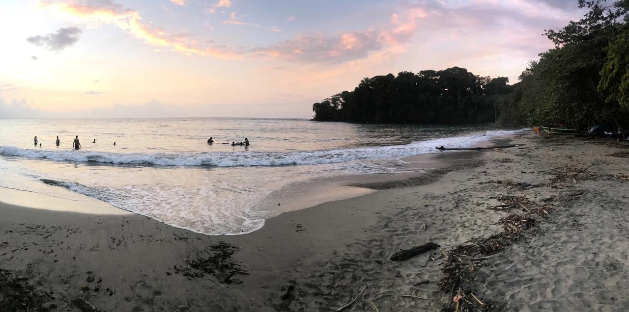 DIA 4: PRIMER DÍA EN PUERTO VIEJO - DE TORTUGAS Y PEREZOSOS. COSTA RICA 2019 (25)