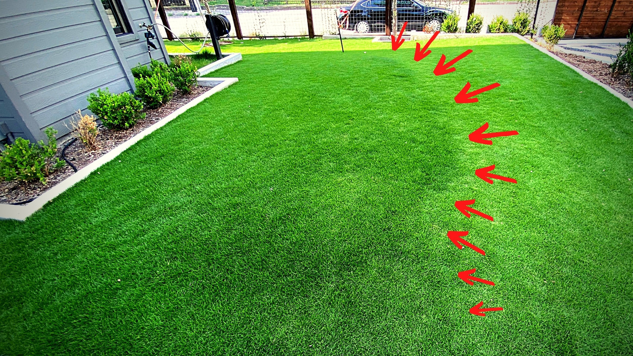 Fertilizer (CX) Washout in Zeon Zoysia Lawn Care Forum