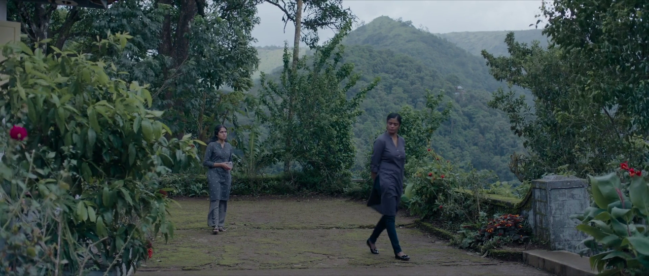 vlcsnap 2025 10 17 20h33m51s860