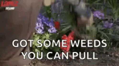 pulling-weeds-pull.gif