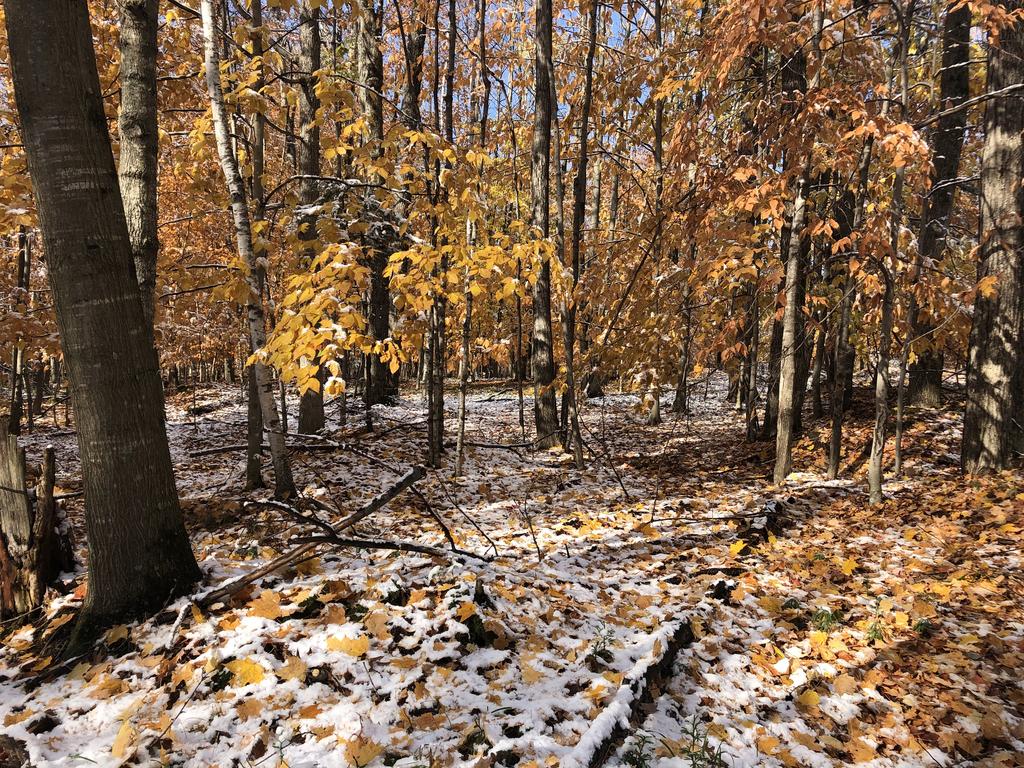 3D3E7110-E023-4D5B-AE8F-64305138CD6E