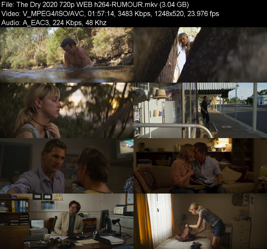 the-dry-2020-720p-web-h264-rumour.png