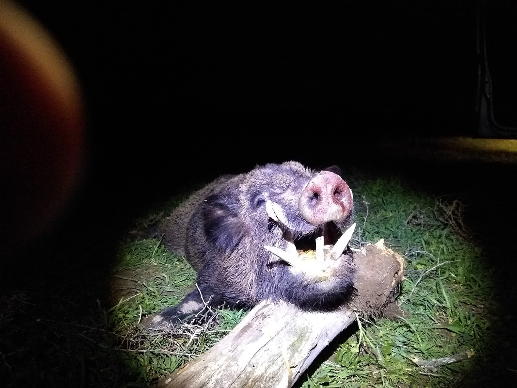 IMG_20200807_000922501