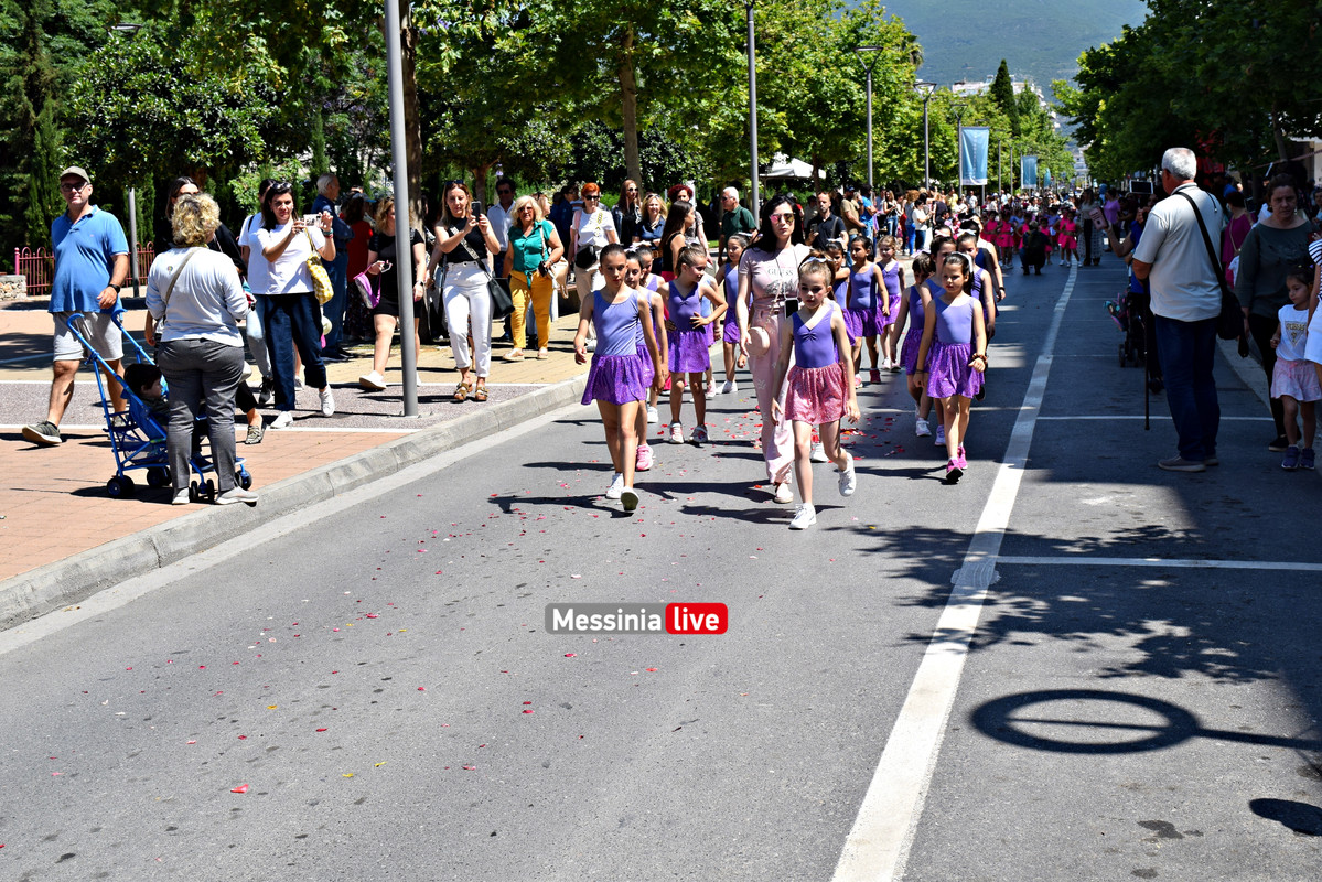 ΛΟΥΛΟΥΔΕΝΙΑ ΠΑΡΕΛΑΣΗ DSC_1498