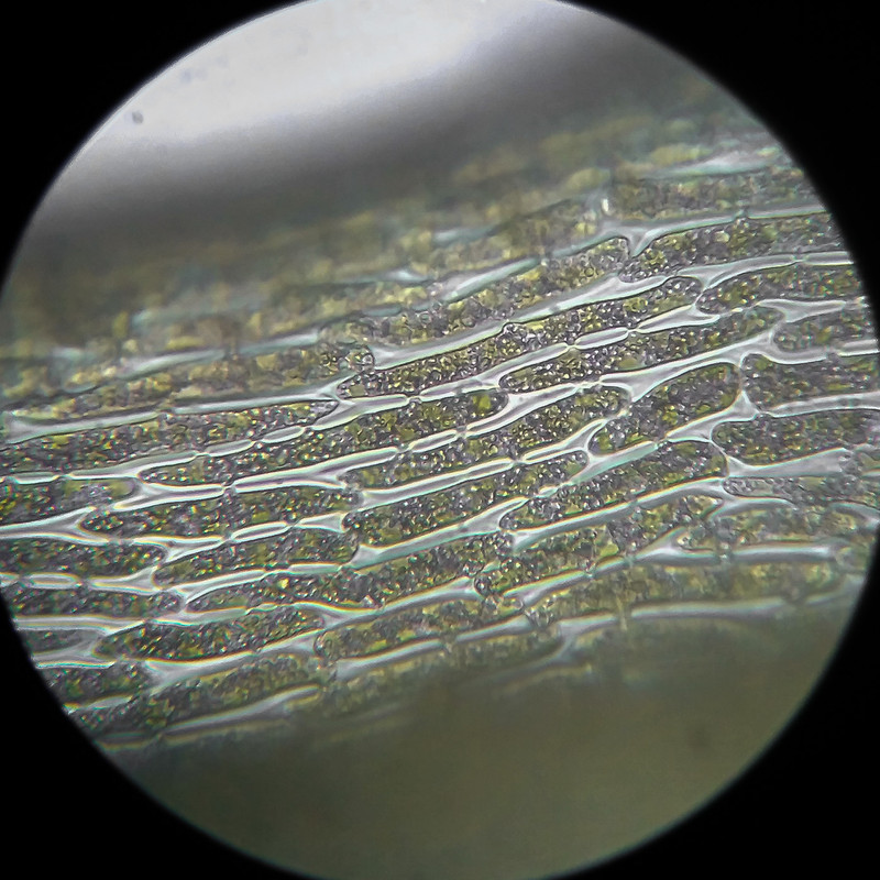 IMG 20250614 111550 HDR