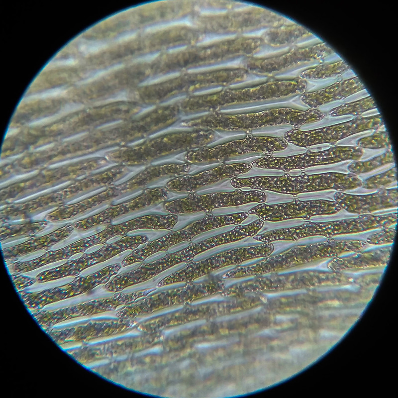 IMG 20250614 111459 HDR