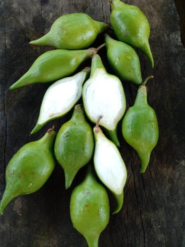 326572958_720543062995182_7419843001270297984_n