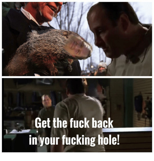 get-the-fuck-back-in-your-fucking-hole-1