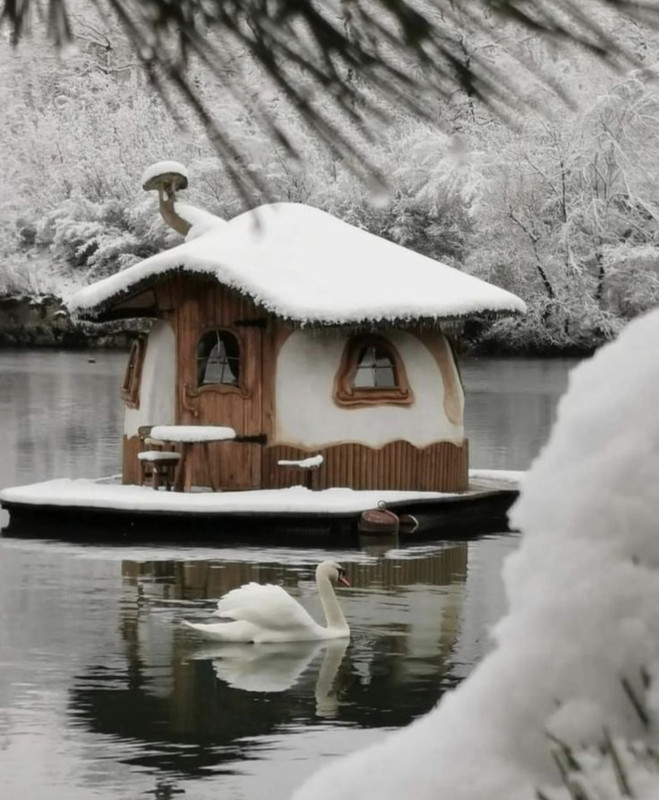 Screenshot_20231017_202200_Pinterest