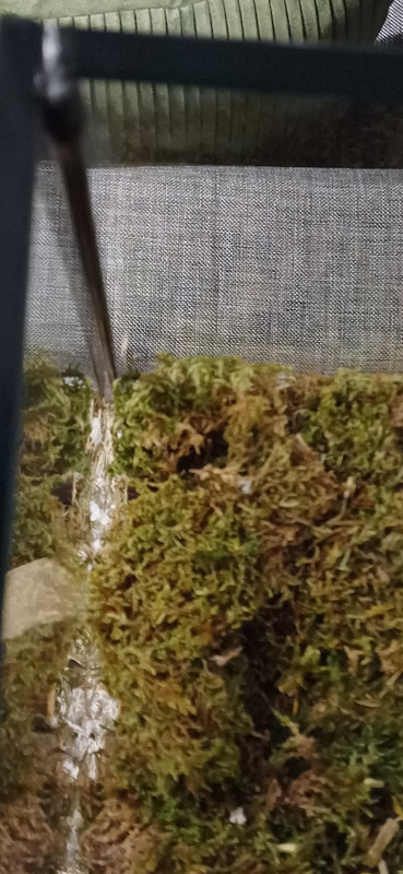 17115641426983964431123938016920